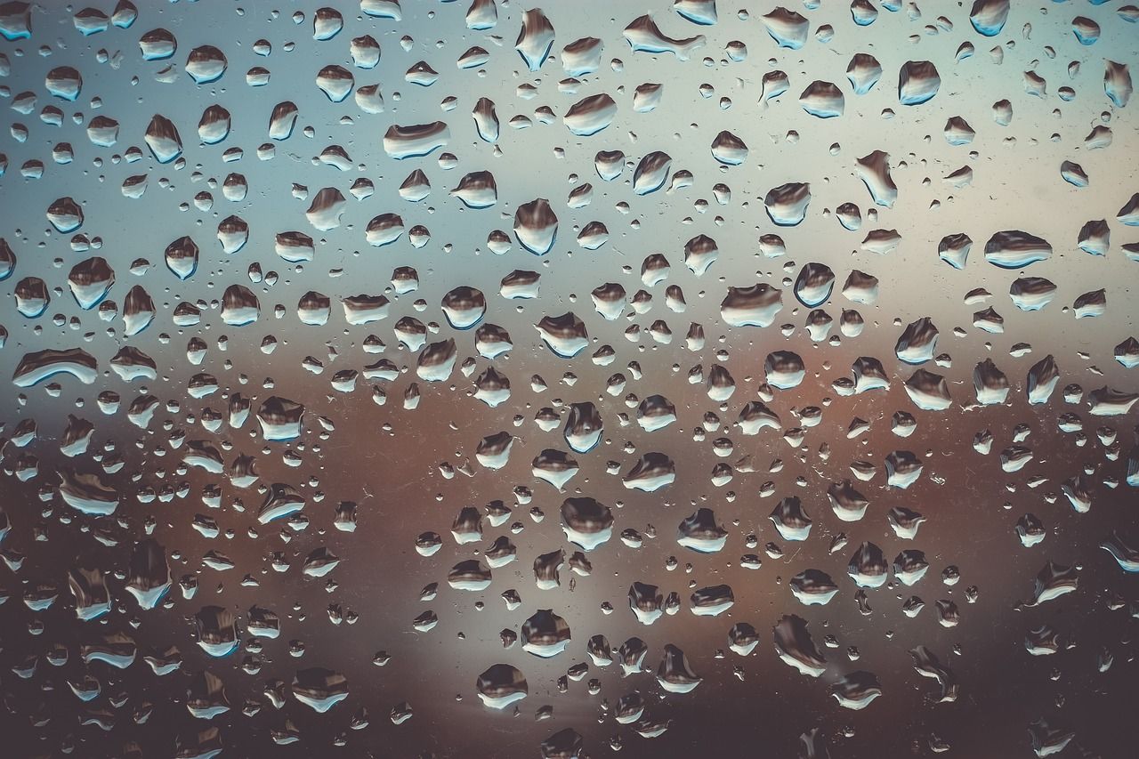 How To Reduce Humidity In A Room Naturally (Embrace Nature’s Remedies for a Comfy Home