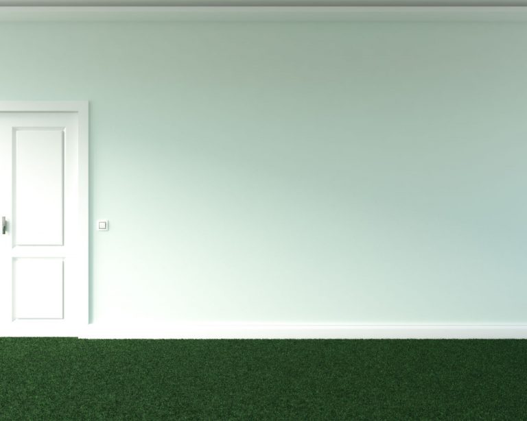 What Color Walls Go With Green Carpet? (10 Fresh Color Ideas