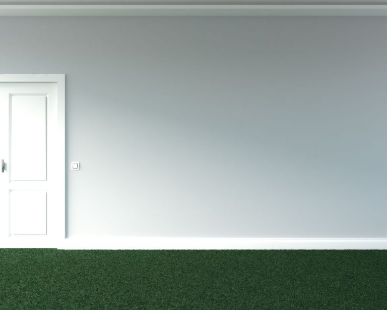 What Color Walls Go With Green Carpet? (10 Fresh Color Ideas