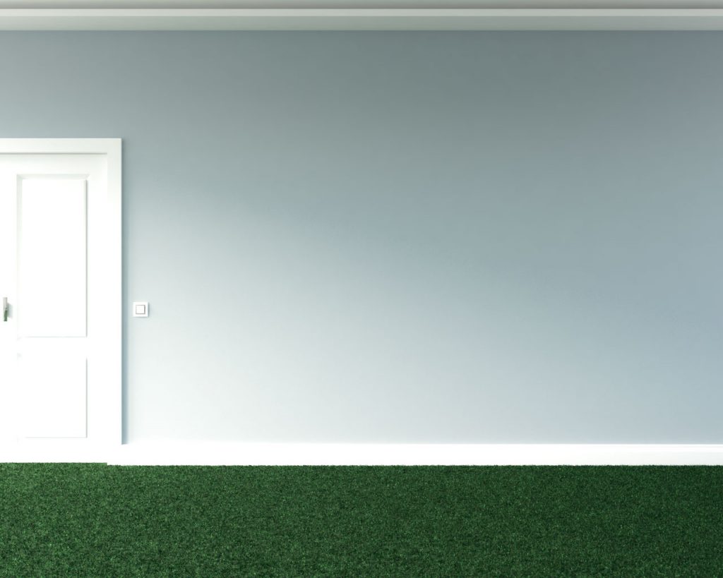 What Color Walls Go With Green Carpet? (10 Fresh Color Ideas
