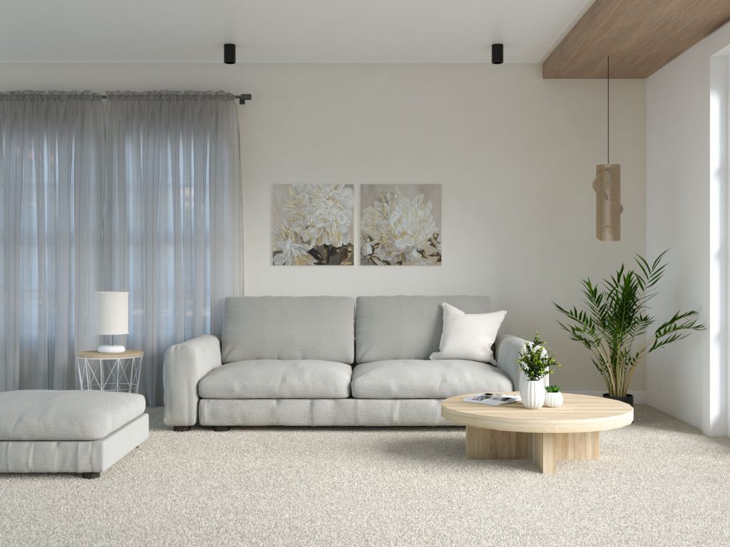 10 Awesome Color Schemes with Beige Carpet (Warm and Inviting Palette
