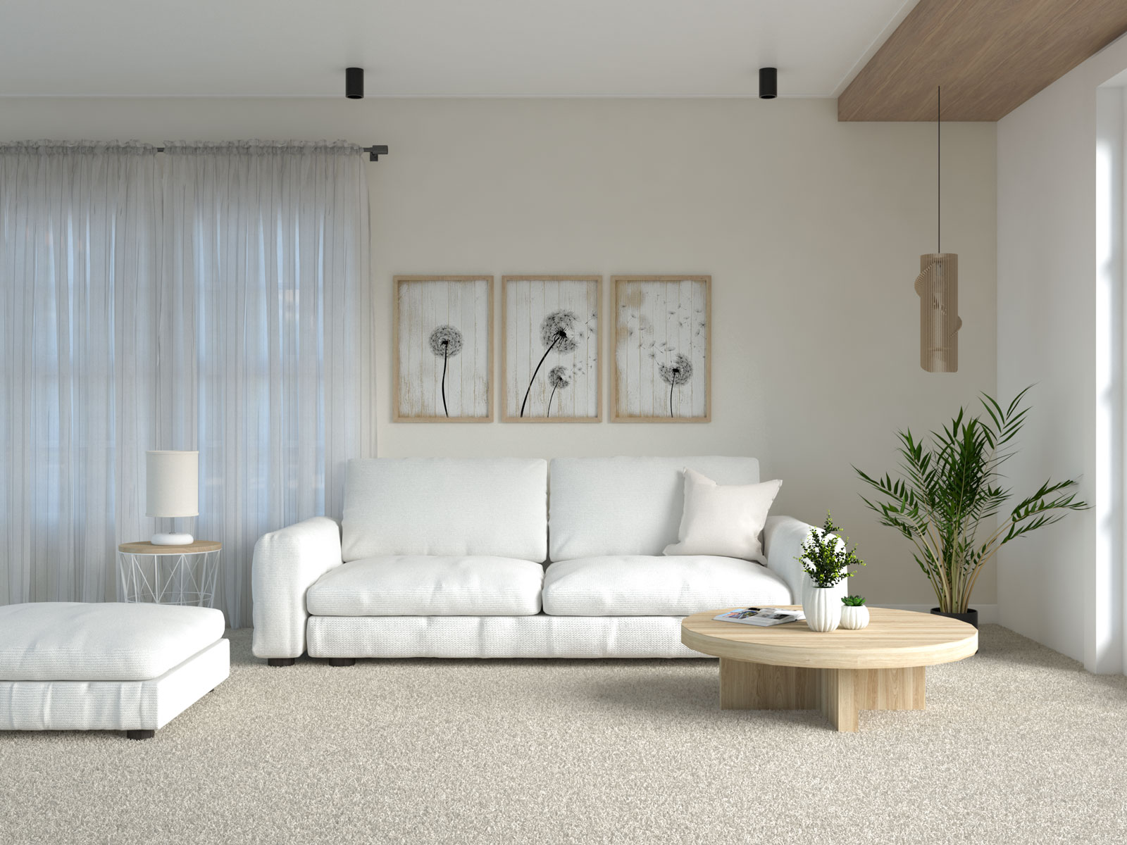 Living room with beige carpet and white furniture