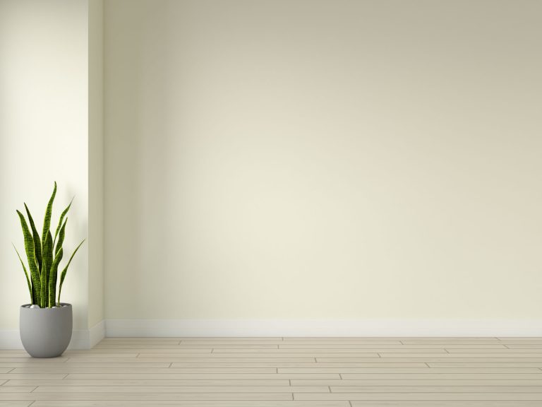 What Color Wall Goes with Oak Floors? (15 Choices)