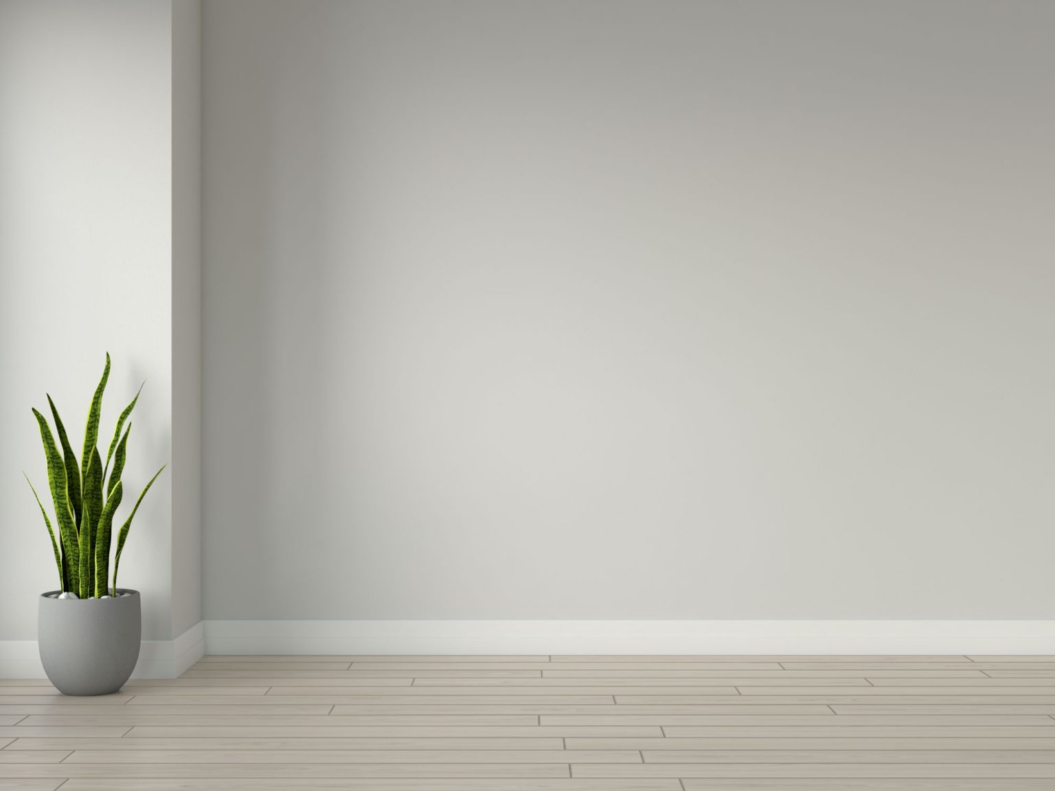 What Color Wall Goes with Oak Floors? (15 Choices)