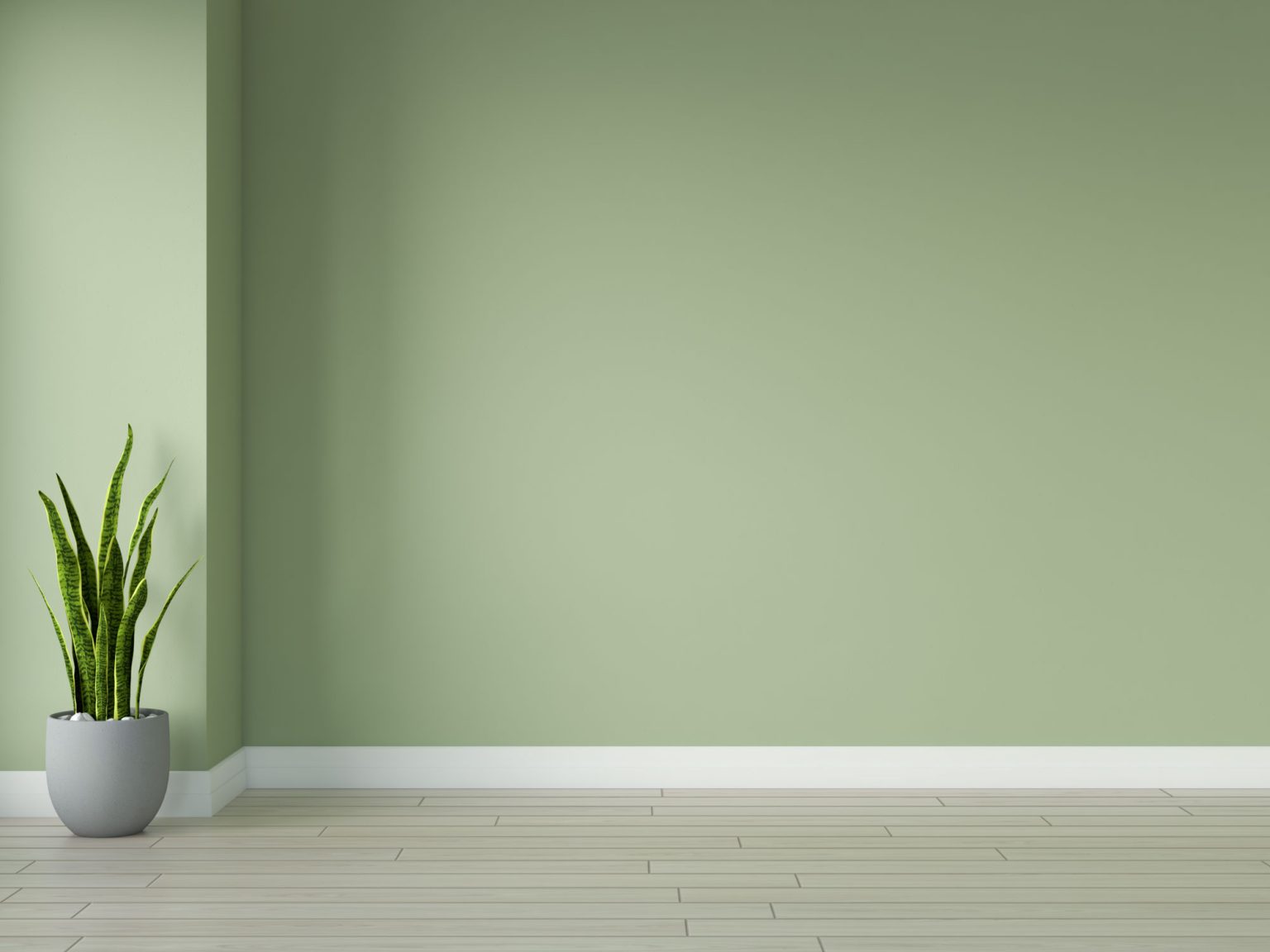 What Color Wall Goes with Oak Floors? (15 Choices)