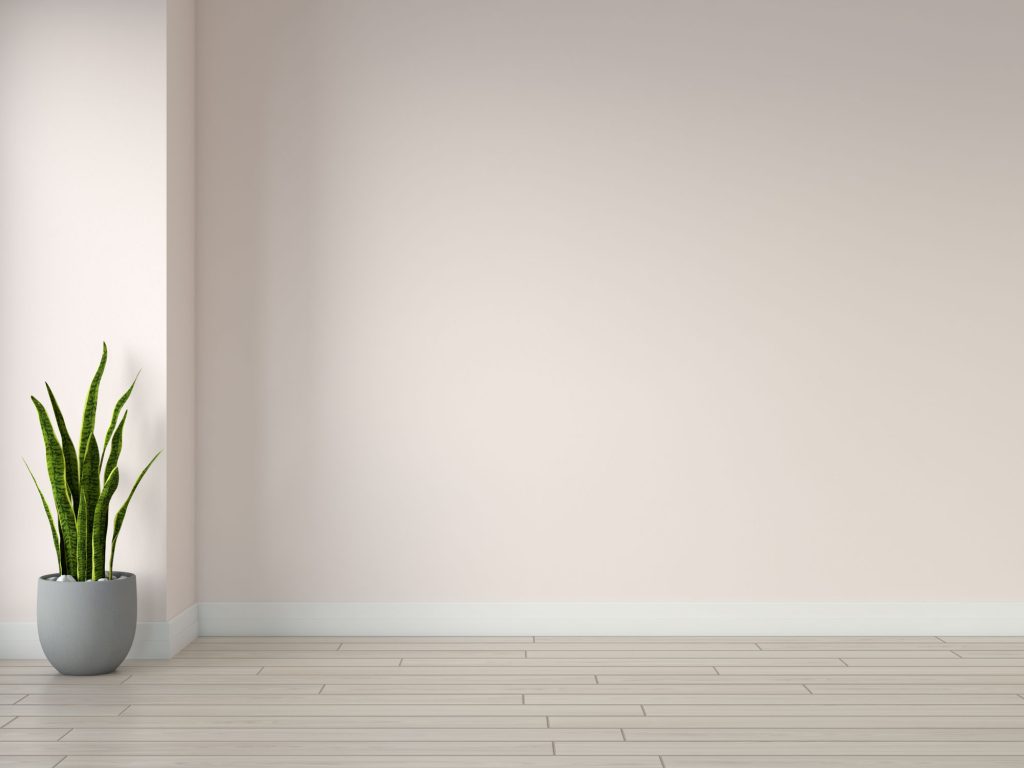 What Color Wall Goes with Oak Floors? (15 Choices)