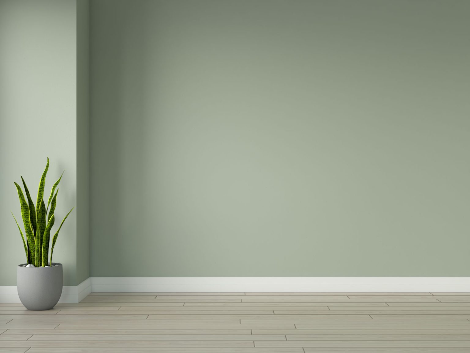 What Color Wall Goes with Oak Floors? (15 Choices)