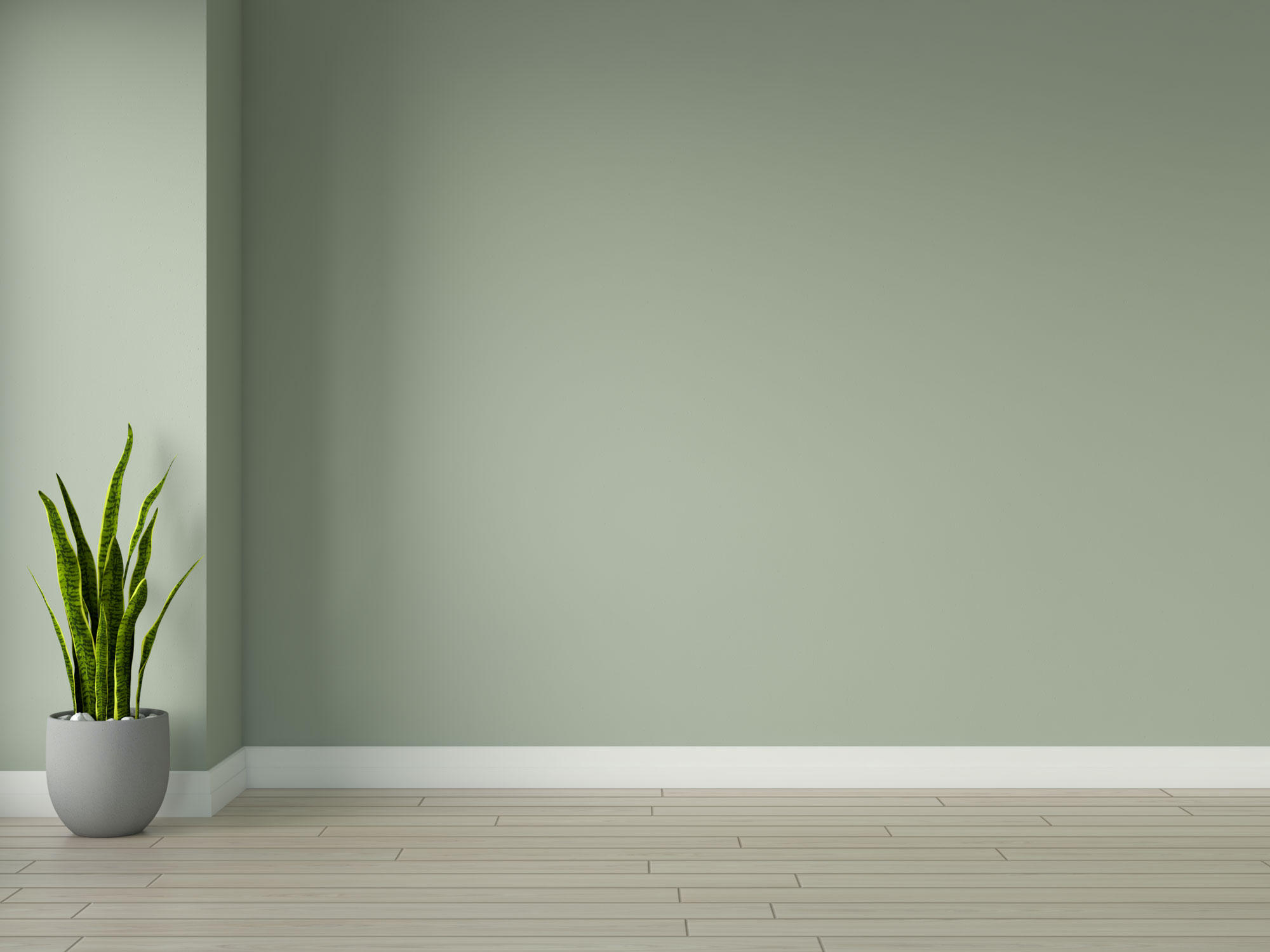 What Color Walls Go With Light Oak Floors Infoupdate