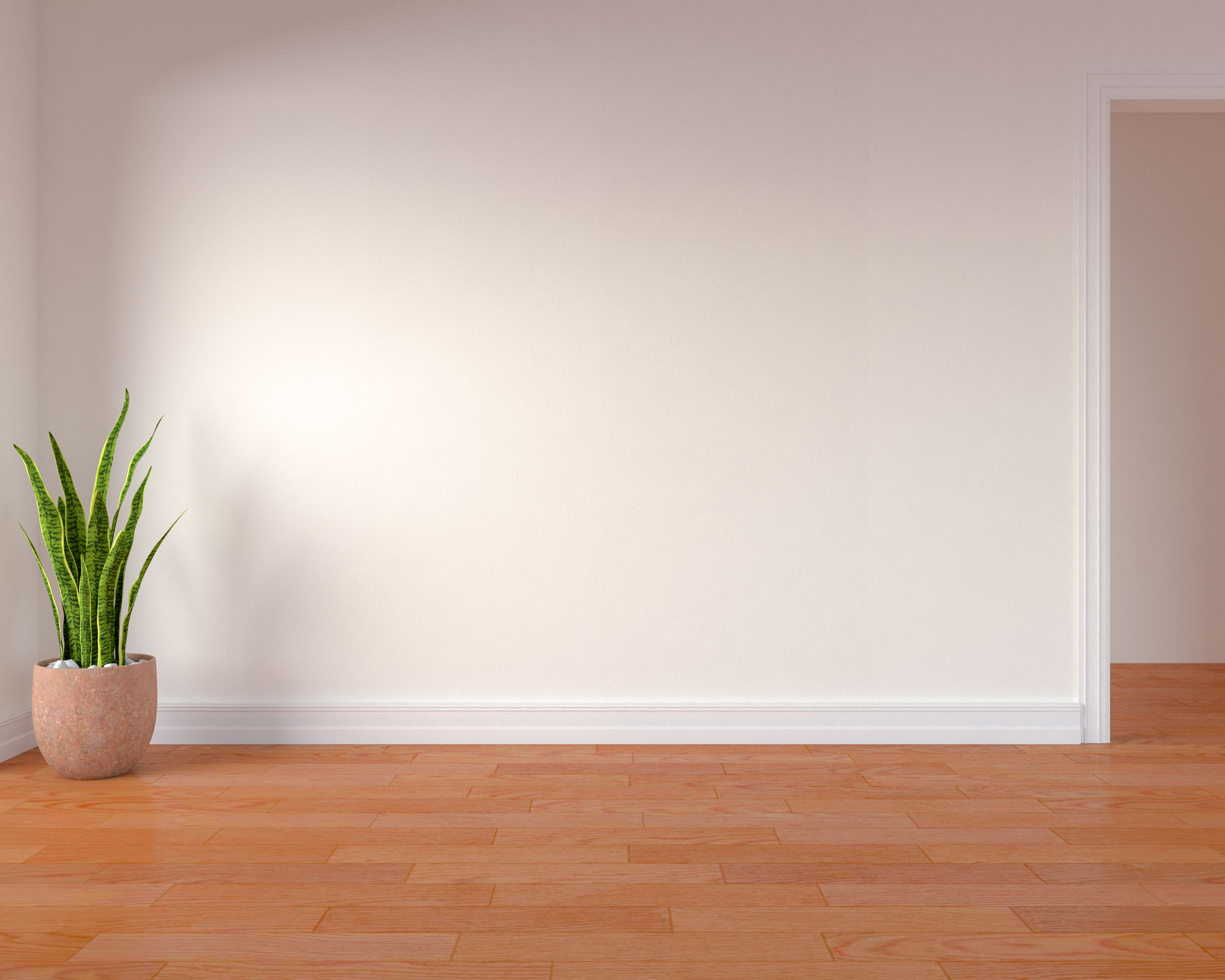 Warm white walls with orange floors