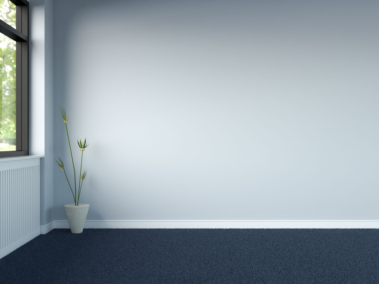 what-color-wall-goes-with-blue-carpet-roomdsign-com