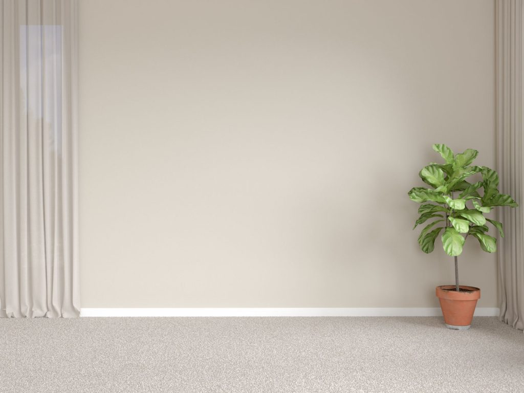 What Color Carpet Goes with Beige Walls? (8 Combinations For Harmony in Neutrals)