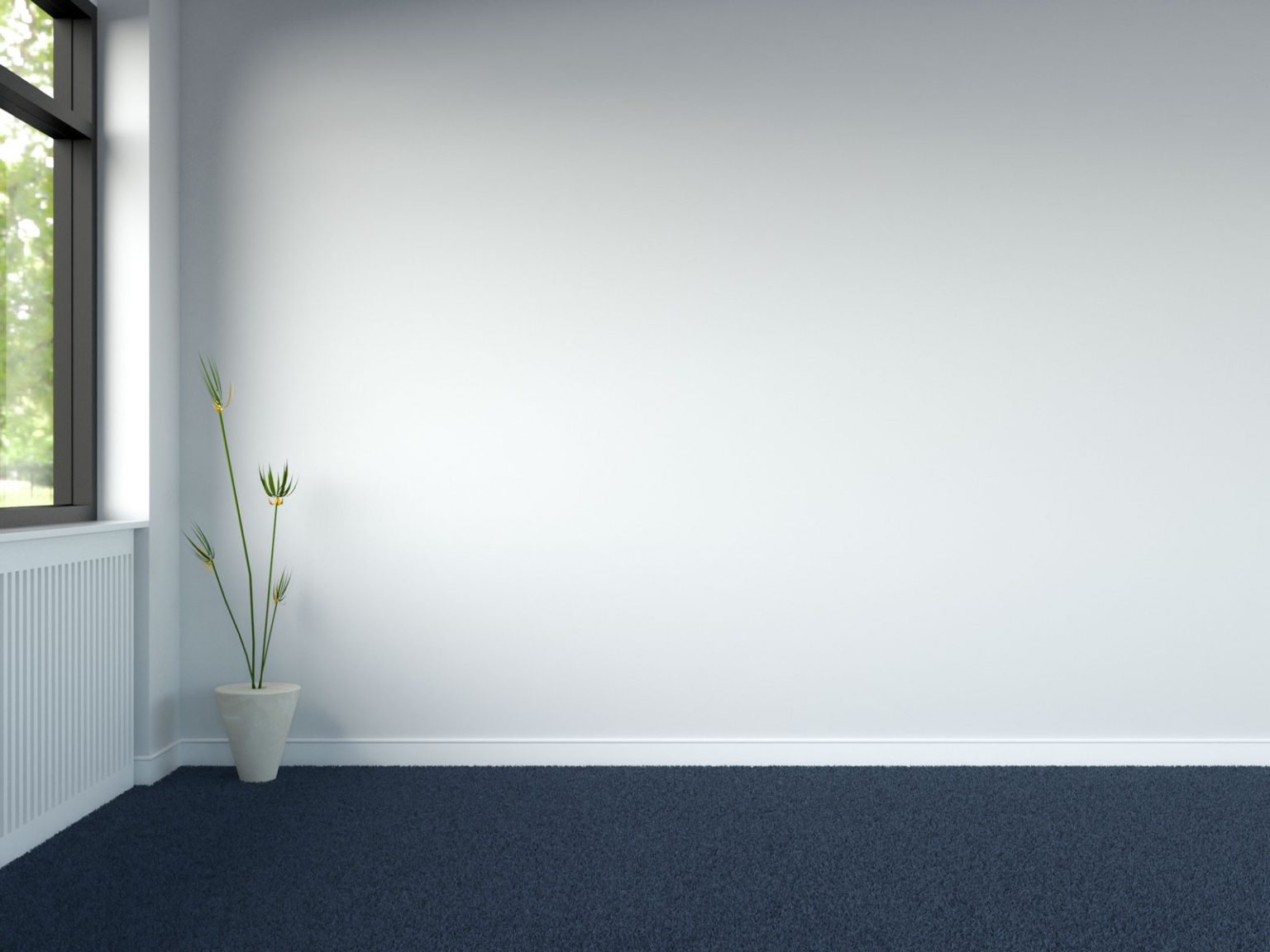 What Color Wall Goes with Blue Carpet? (Blue Carpet, Beautiful Walls