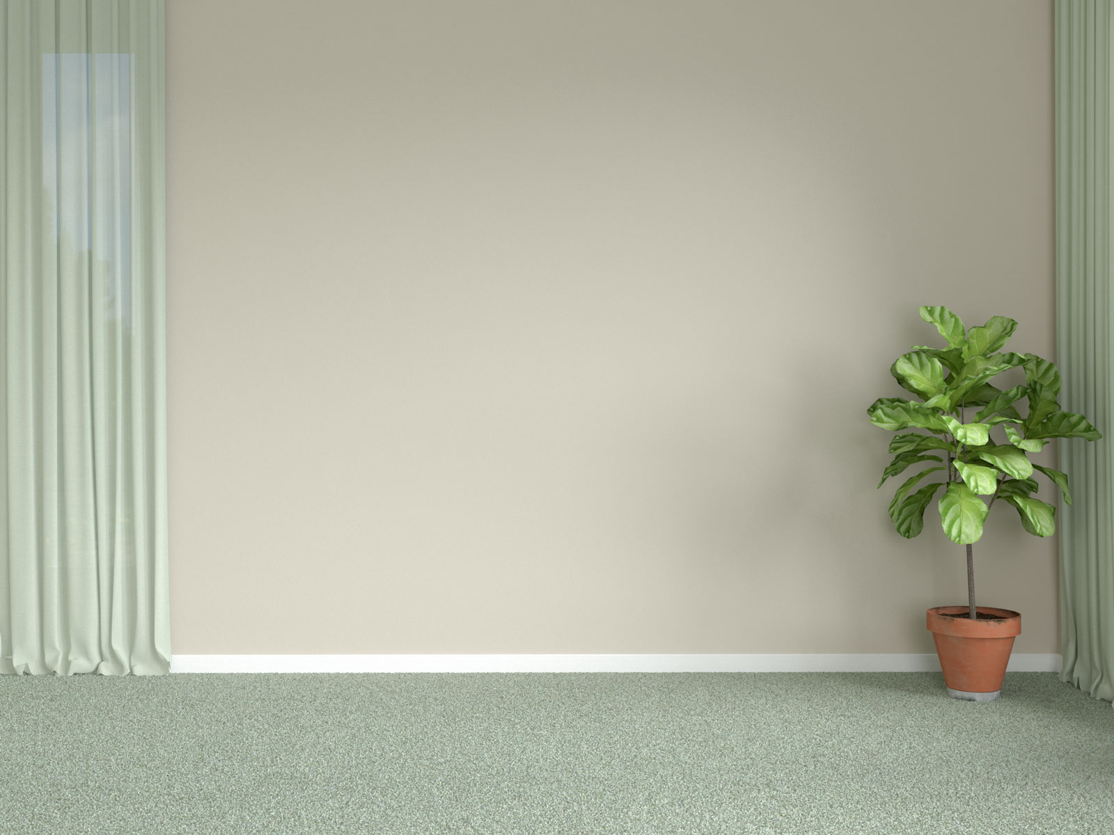 light gray walls with tan carpet