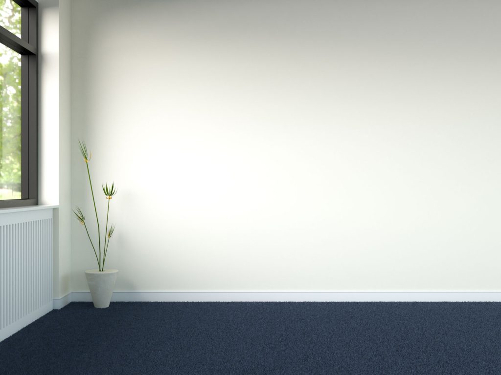 What Color Wall Goes with Blue Carpet? (Blue Carpet, Beautiful Walls