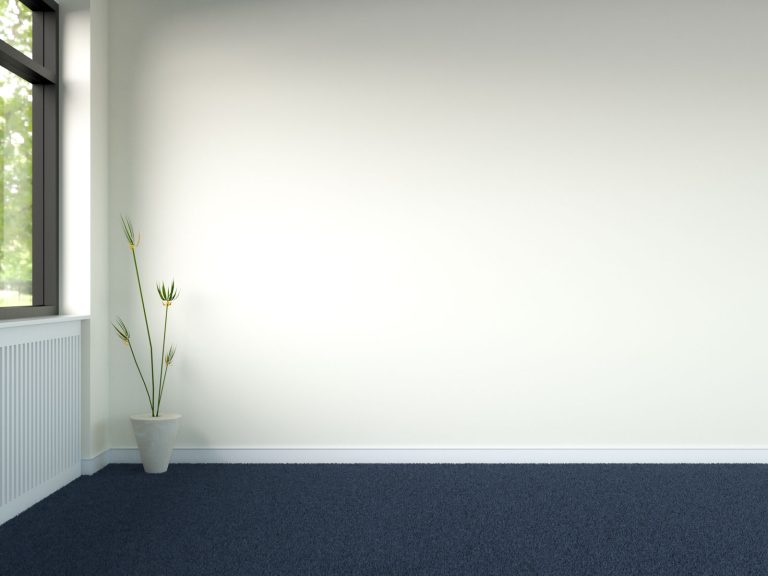 What Color Wall Goes with Blue Carpet? (Blue Carpet, Beautiful Walls