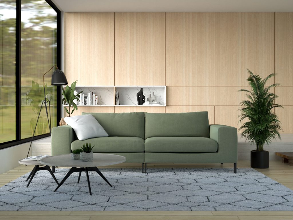 What Color Rug Goes with Sage Green Couch? (15 Fresh Options