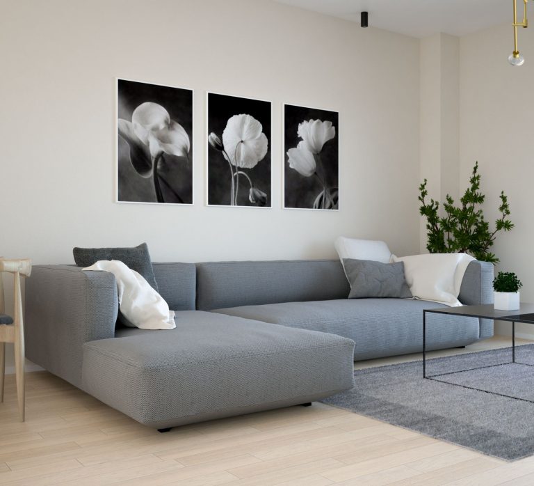 7 Furniture Color Ideas That Harmonize with Beige Walls