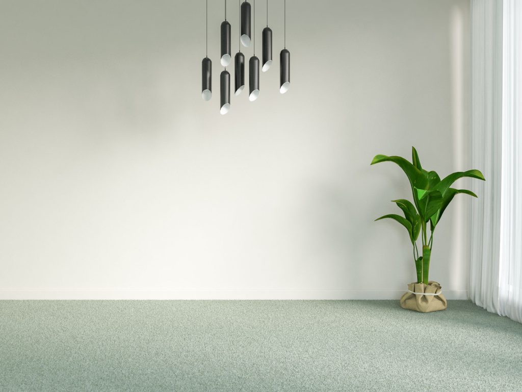 What Color Carpet Goes with Agreeable Gray Walls? (7 Ultimate Pairs For