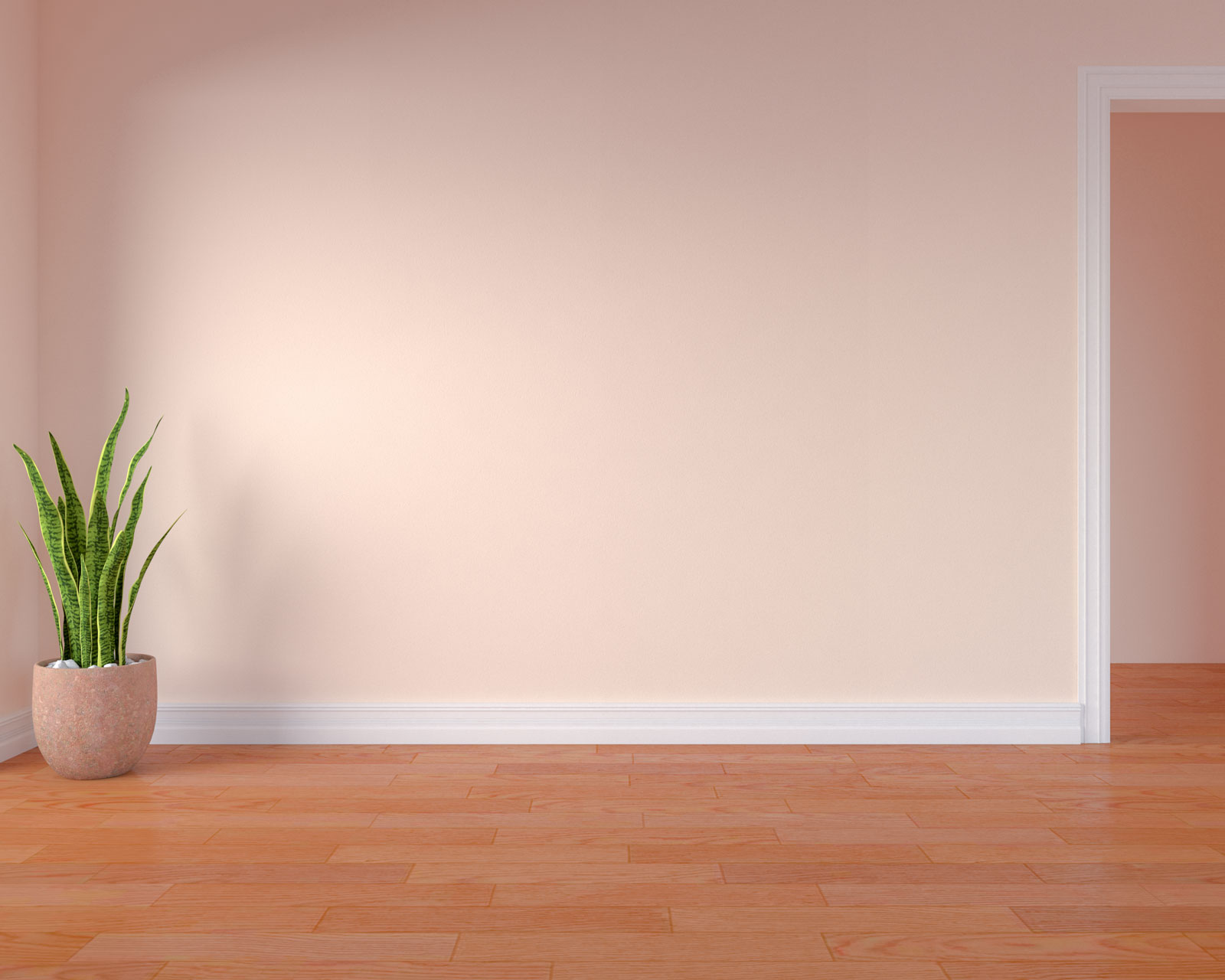 Peach walls with orange wood floors