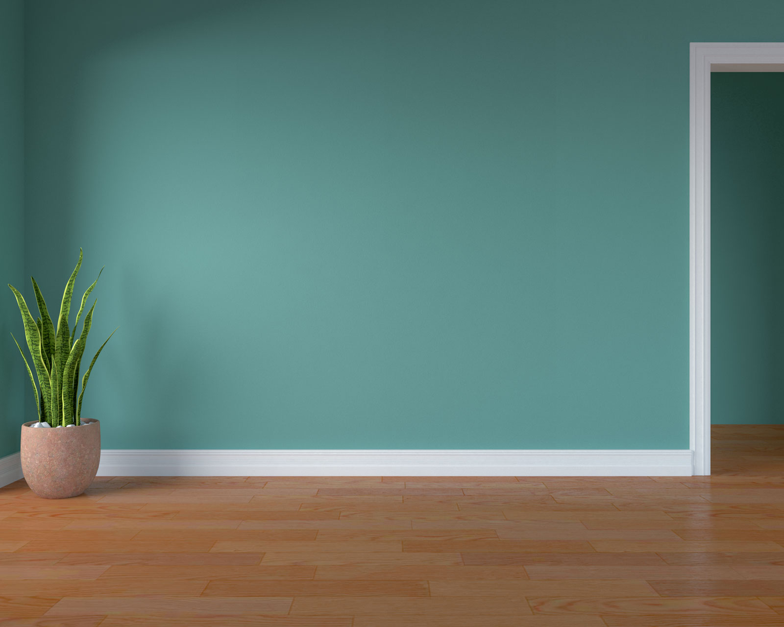 Teal walls with orange floors