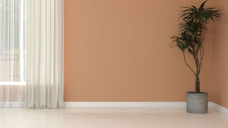 What Color Wall Goes with Cream Tile Flooring? (7 Perfect Palette for an Instagram-Worthy Home)