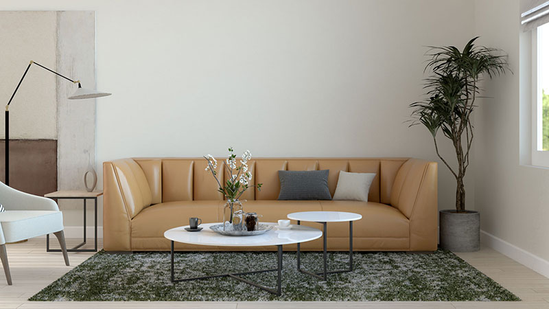 7 Best Rug Colors to Match Camel Couch